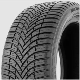 FIRESTONE 195/65 R15 95V MULTISEASON2  XL